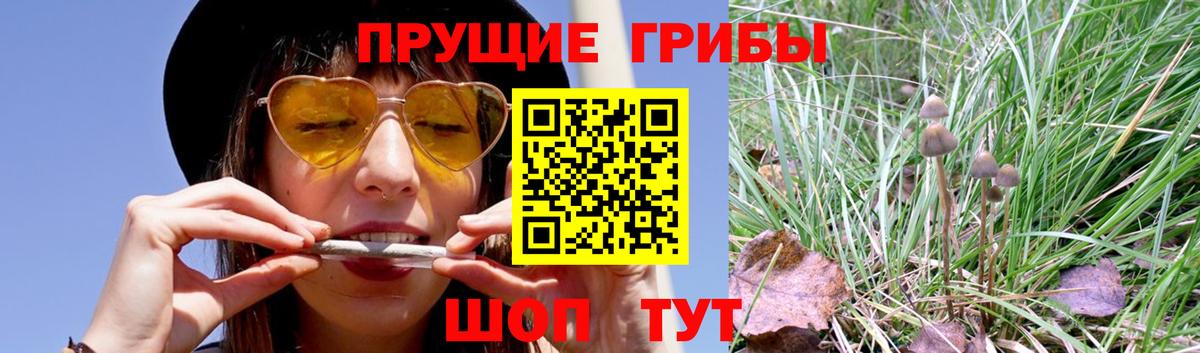 Ивантеевка  Псилоцибиновые грибы мухоморы  Вход с VPN  Галлюциногенные грибы MAGIC MUSHROOMS 